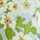 GREEN-MULTI
