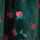 GREEN-MULTI