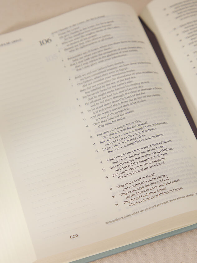 ESV Single Column Journaling Bible Detail 3 - TULLABEE