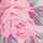 PINK-MULTI