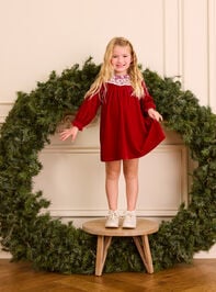 Rebecca Velvet Mini Dress - TULLABEE