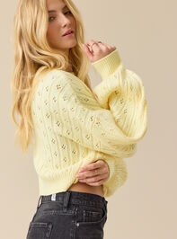 Anastasia Cropped Pointelle Sweater - TULLABEE
