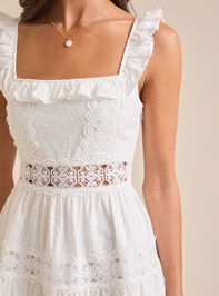 Andi Clip Dot Mini Dress Detail 2 - TULLABEE