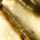 BLUE-GOLD