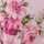 PINK-MULTI
