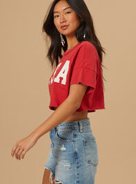 USA Cropped Graphic Tee Detail 3 - TULLABEE