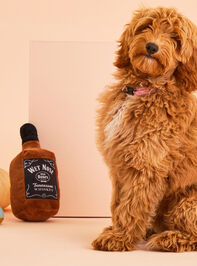 Wet Nose Whiskey Dog Toy - TULLABEE