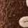 BROWN-PINK