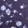 NAVY-MULTI