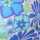 BLUE-MULTI
