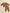 Maverick Toddler Sweat Set by Quincy Mae Detail 2 - TULLABEE