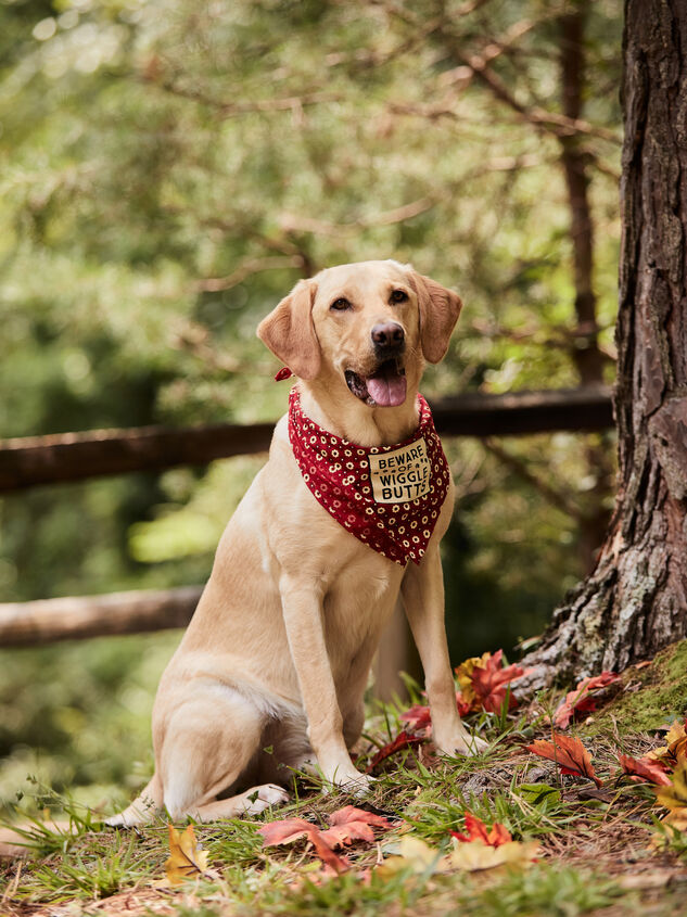 Wiggle Butts Pet Bandana - Small Detail 3 - TULLABEE