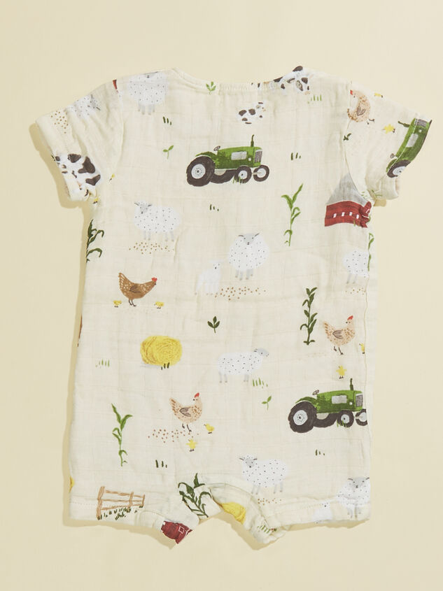 Big Barn Shortall Detail 2 - TULLABEE