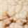 IVORY-BROWN