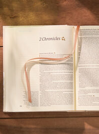 Hosanna Revival NLT Journaling Bible: Cordova Theme Detail 3 - TULLABEE