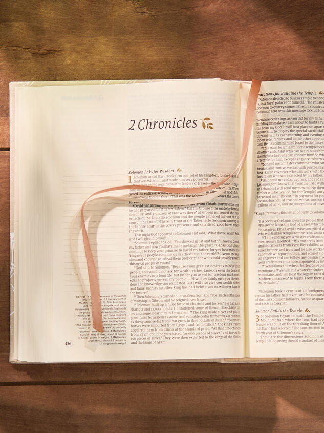 Hosanna Revival NLT Journaling Bible: Cordova Theme Detail 3 - TULLABEE