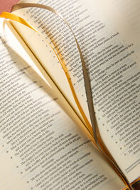 Hosanna Revival Notetaking Bible- Florence Theme Detail 4 - TULLABEE