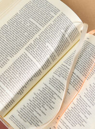 Hosanna Revival Compact Bible- Casablanca Theme Detail 3 - TULLABEE
