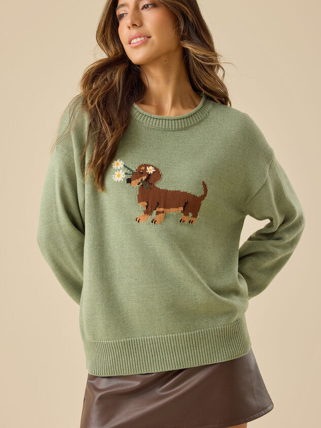 Daisy Dachshund Dog Pullover - TULLABEE