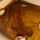 BROWN-GOLD