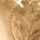 GOLD-BROWN