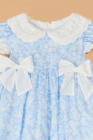 Felicity Floral Dress - Altar'd State - 