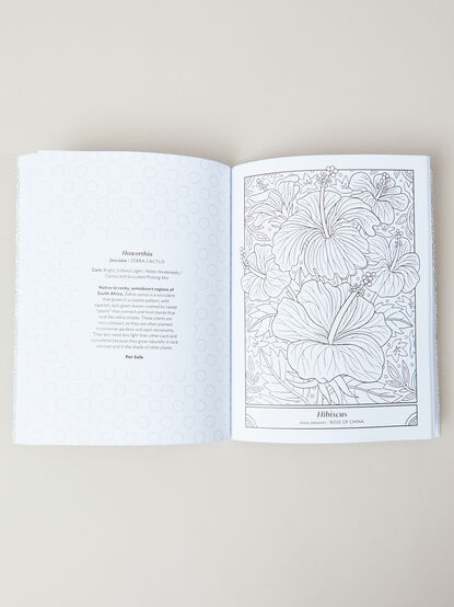 The Happy Houseplant Coloring Book - TULLABEE