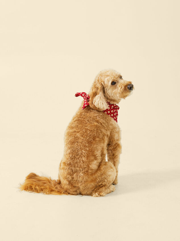 Wiggle Butts Pet Bandana - Small Detail 2 - TULLABEE