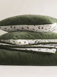 Majoram Cotton Single Sham - TULLABEE