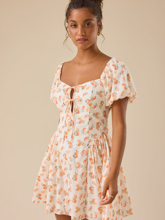 Zoie Puff Sleeve Mini Dress Detail 3 - TULLABEE