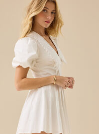 Fanny Collared Mini Dress Detail 3 - TULLABEE