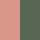 FERN