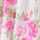 WHITE-PINK-MULTI