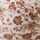 IVORY-BROWN