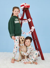 Santa Friends Pet Bow Tie - TULLABEE