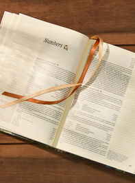 Hosanna Revival NLT Journaling Bible: Coram Theme Detail 3 - TULLABEE