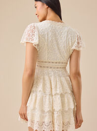 Leighton Lace Mini Dress Detail 6 - TULLABEE