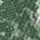 PINE