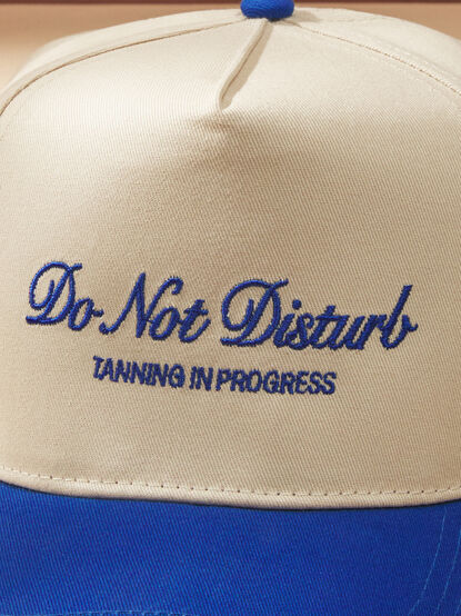 Do Not Disturb Trucker - TULLABEE