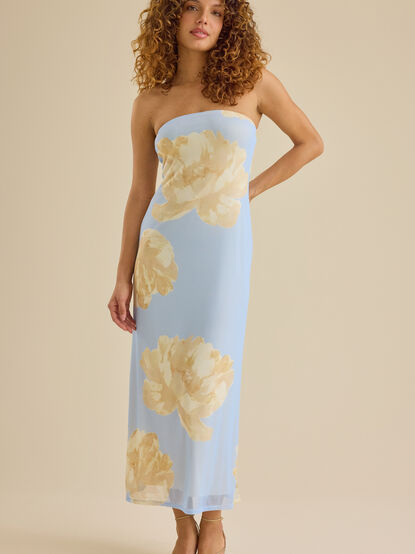 Nellie Mesh Maxi Dress - TULLABEE