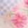 PINK-MULTI