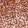 ROSE-GOLD