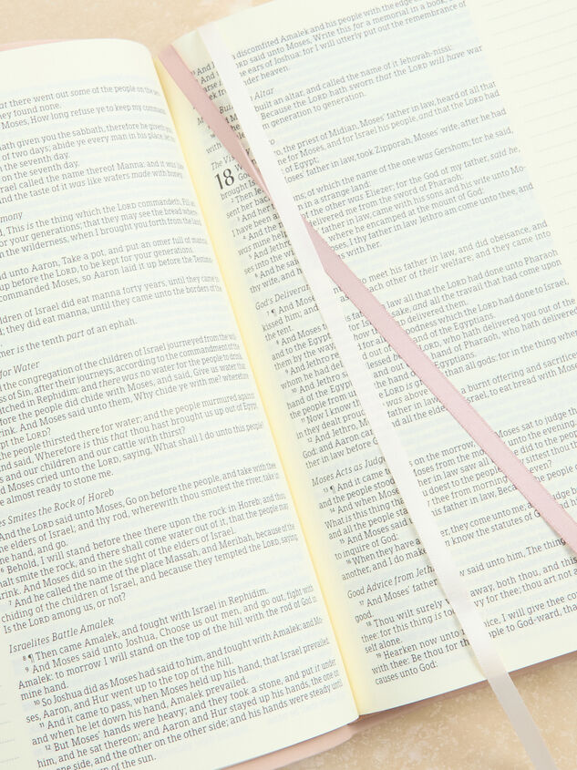 KJV Shiloh Large Print Notetaking Bible by Hosanna Revival Detail 3 - TULLABEE