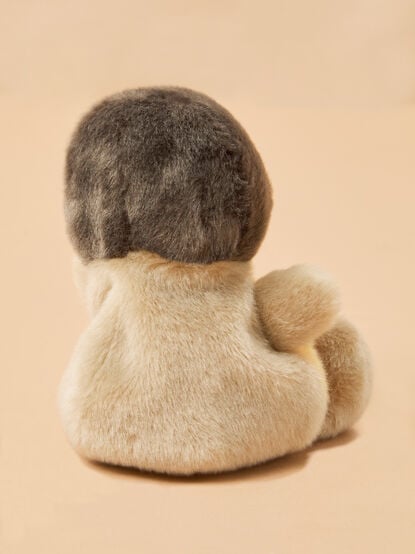 Rudi the Robin - TULLABEE