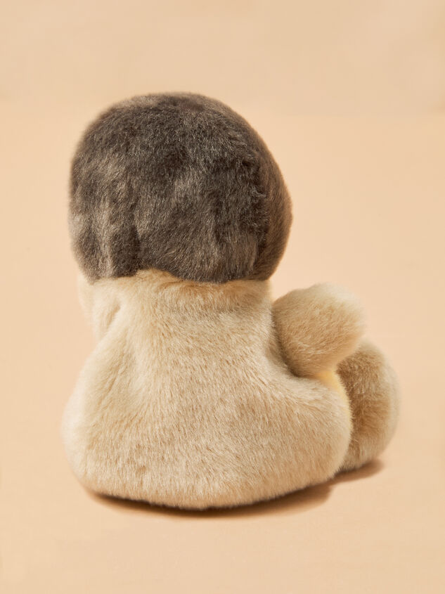 Rudi the Robin Detail 2 - TULLABEE