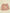 Gracie Shorts by Vignette Detail 2 - TULLABEE