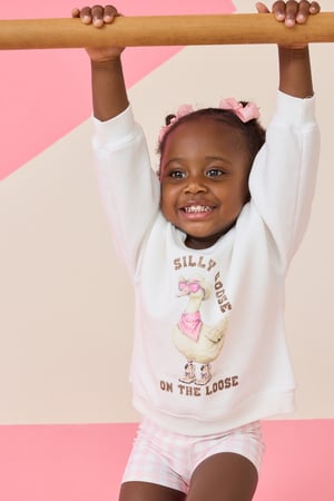 Silly Goose on the Loose Crewneck - Altar'd State