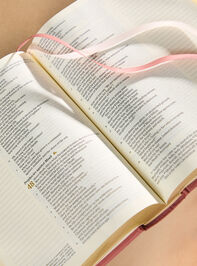 Hosanna Revival Notetaking Bible- Rosedal Theme Detail 5 - TULLABEE