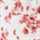 IVORY-ROSE