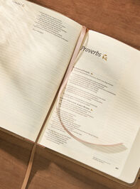 Hosanna Revival Notetaking Bible - Marlo Theme Detail 3 - TULLABEE